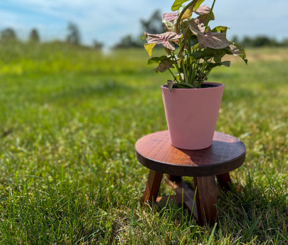 Handcrafted Walnut Plant Stand – Solid Wood Round Riser for Indoor Plants, Decor, or Display